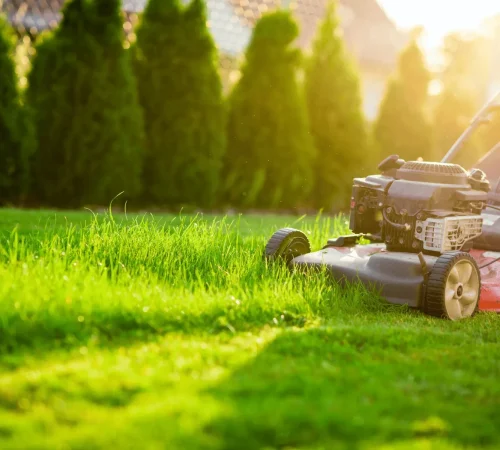 Blog-Post-Featured-Pic-lawn-care