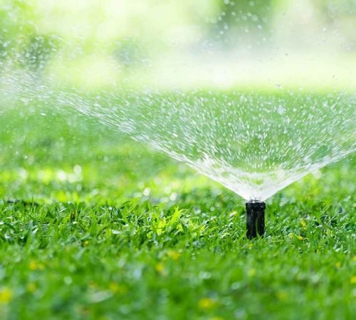 sprinklers-category__46940.original